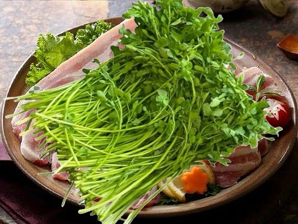 ”セリ” サムギョプサル